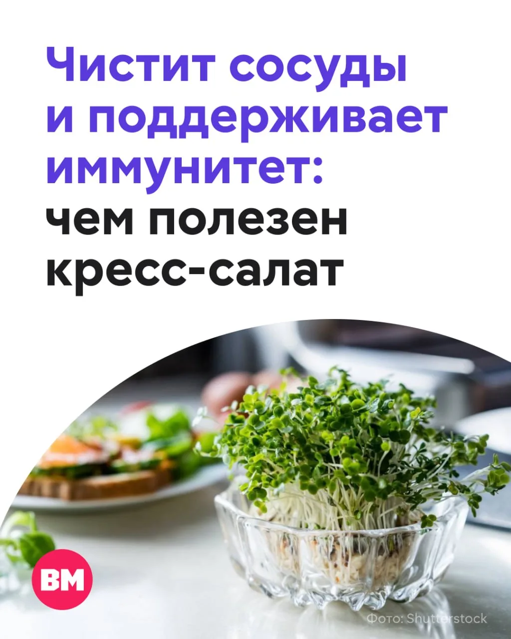 🌿 Если бы продукты соревновались за звание самого полезного, то победил бы не лосось, не киноа и да