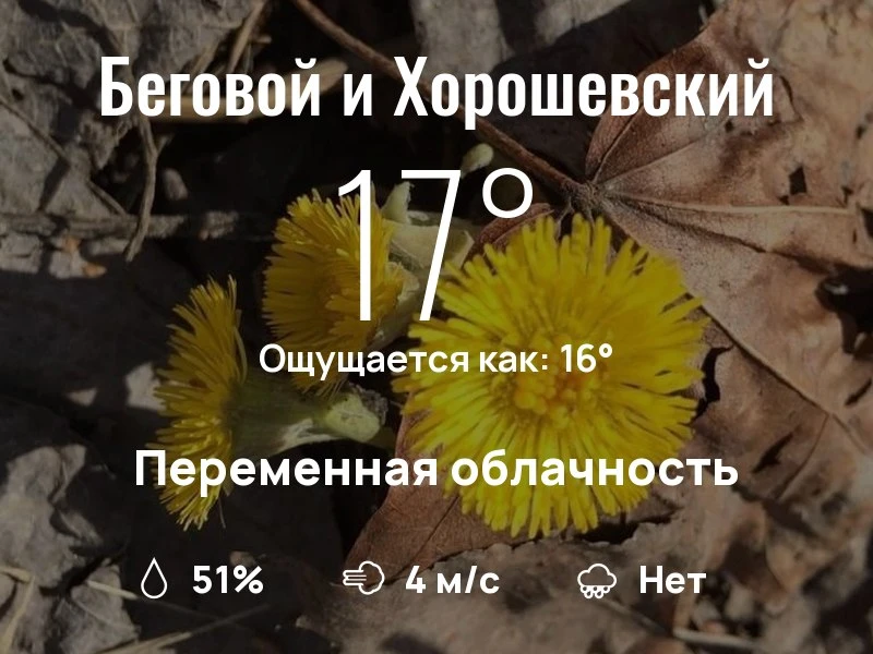 Что с погодой в Беговом и Хорошевском?