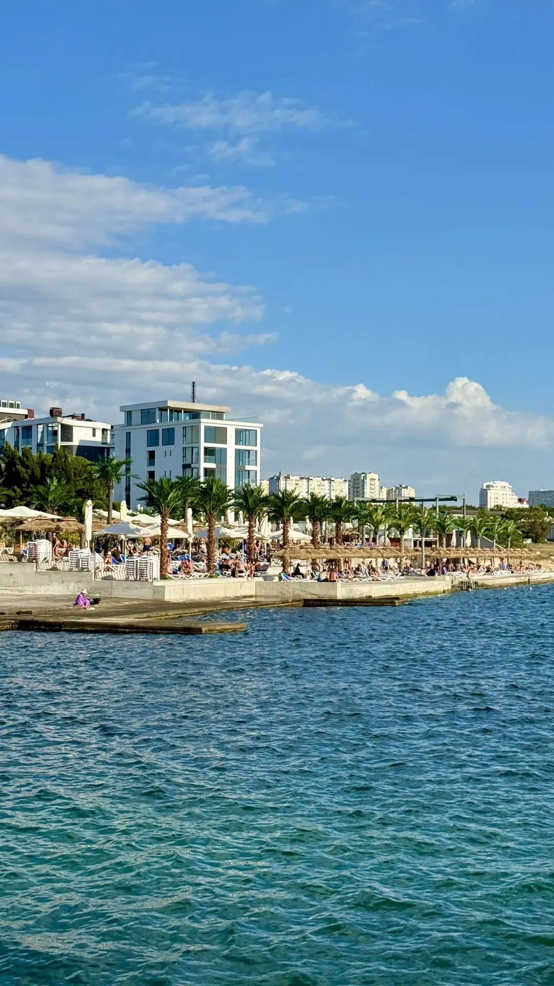 Пальмовый пляж яхт-клуба Юг в Севастополе 🏝️ Крым