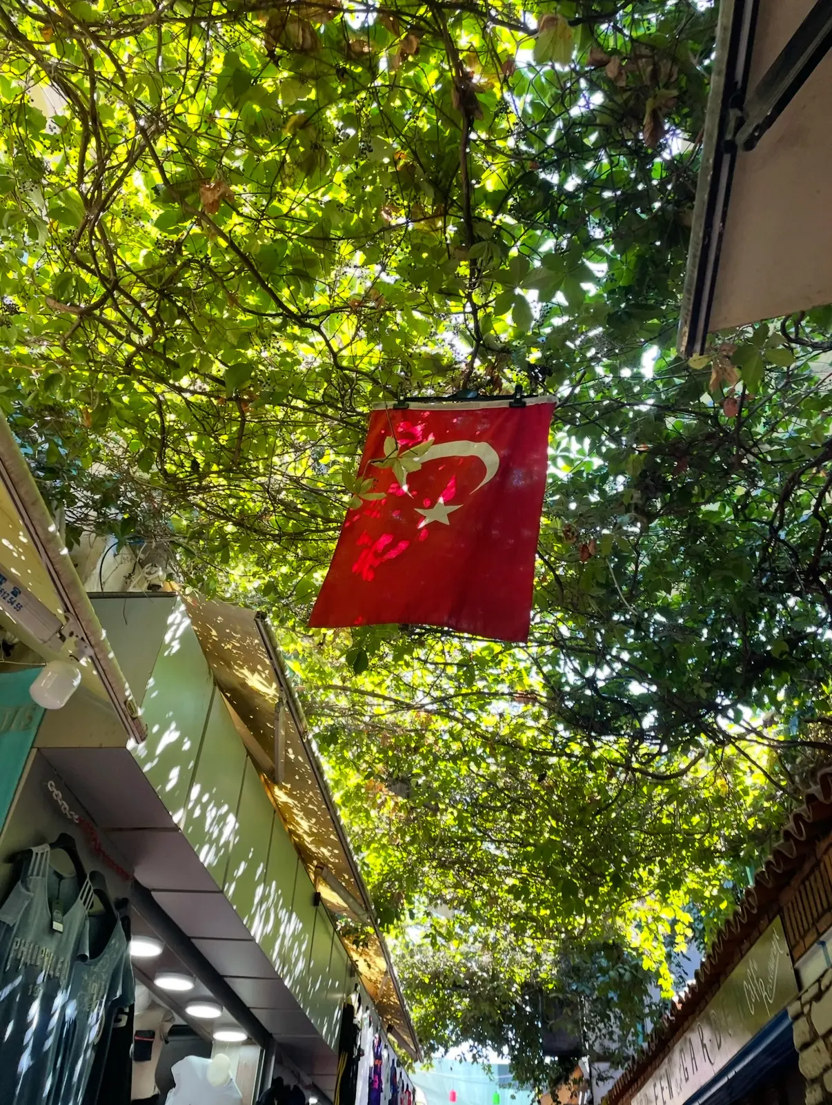 🇹🇷Отличные новости для любителей Турции: