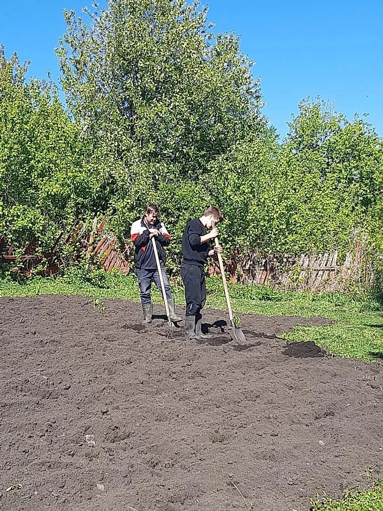 Посадили картошечку - сделали доброе дело! 🌱💚