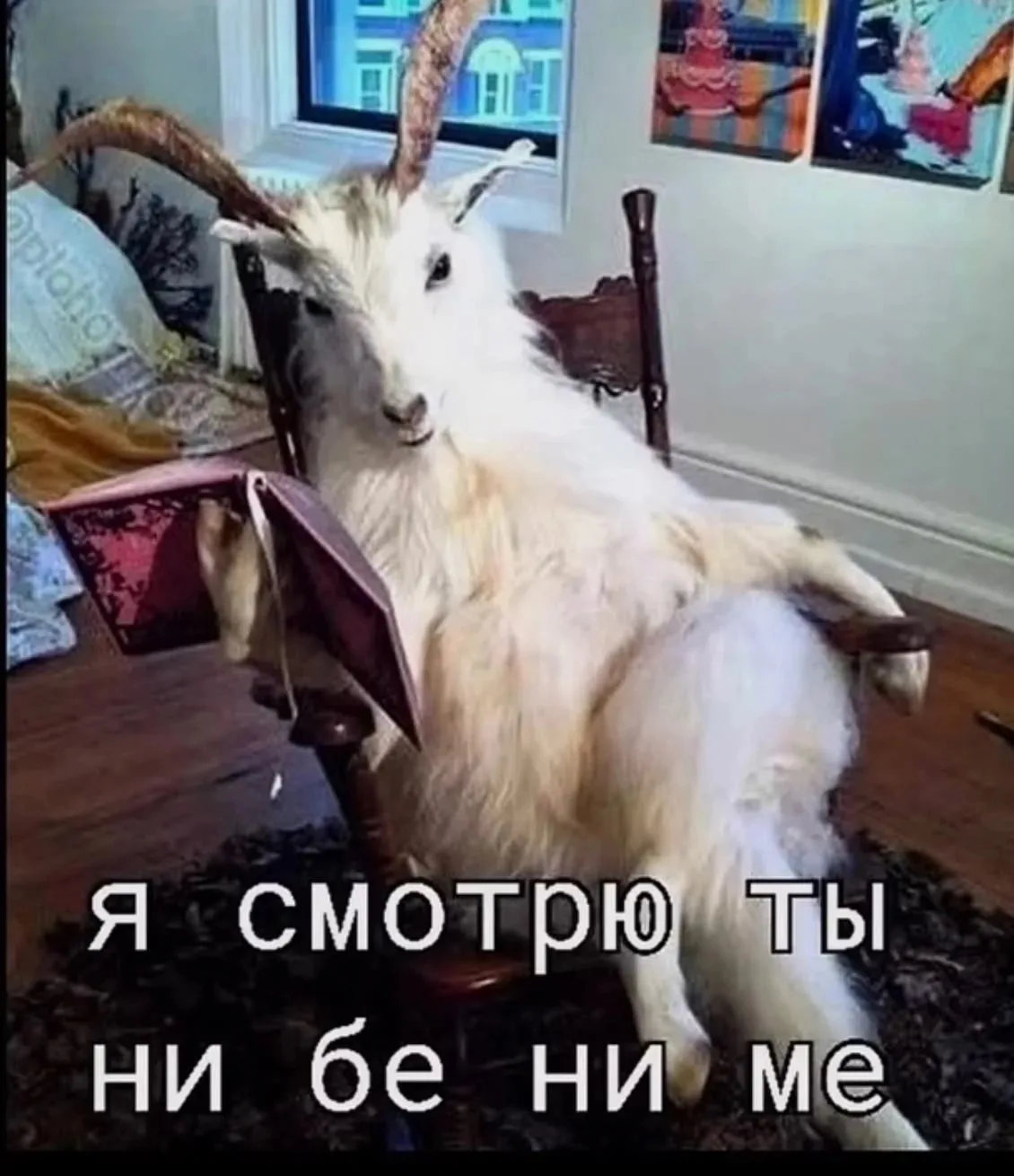 😶 Когда пришел после выходных на работу, а начальник закидывает тебя рабочими задачами…
