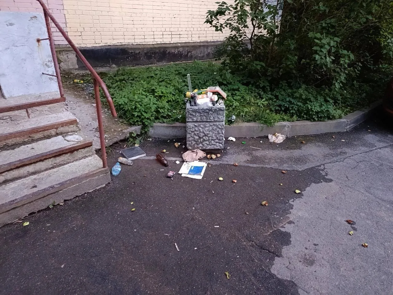 Подскажите пожалуйста, куда обращаться по данному вопросу? Такая картина у парадной уже...