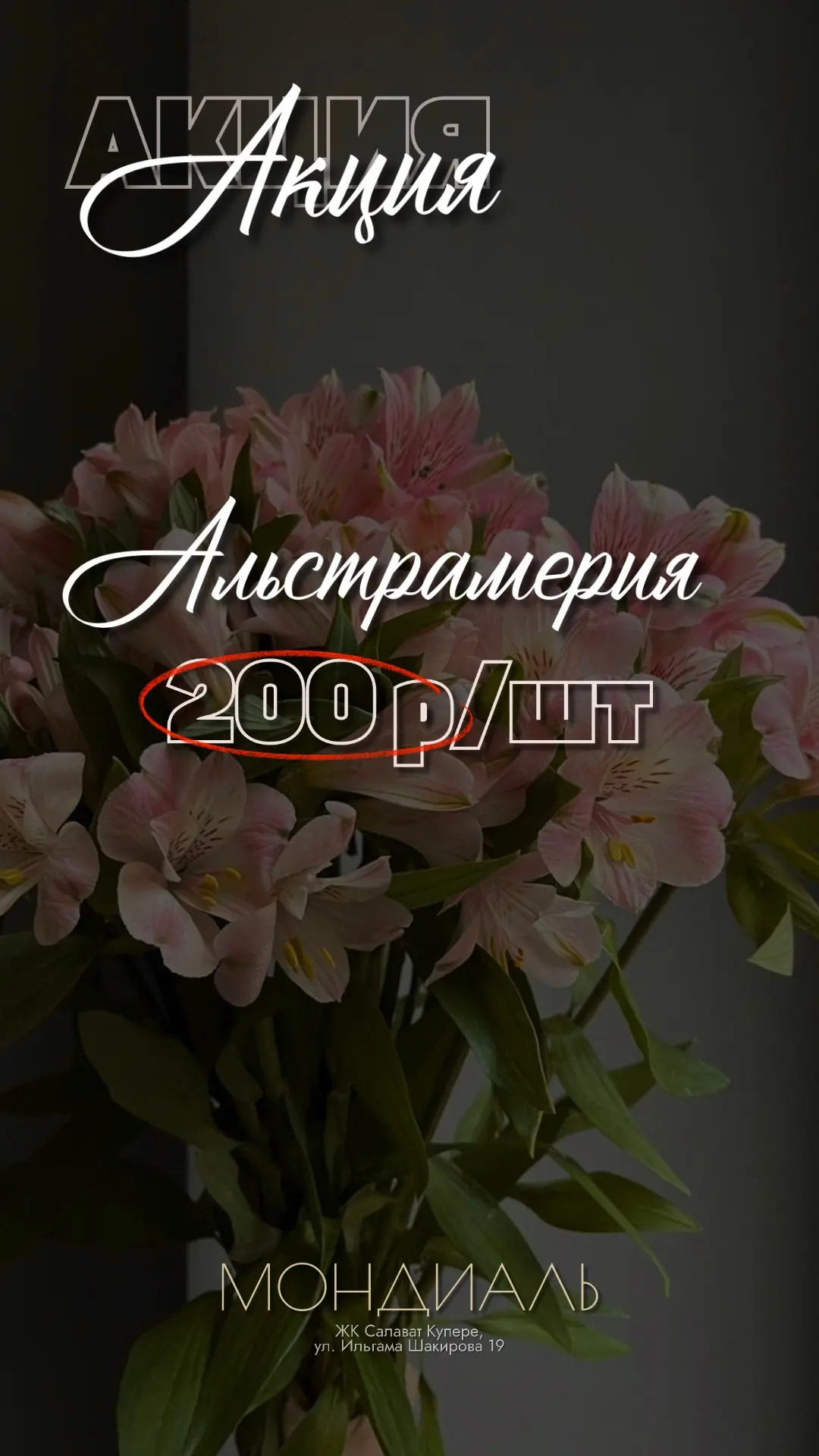 Акция❣️