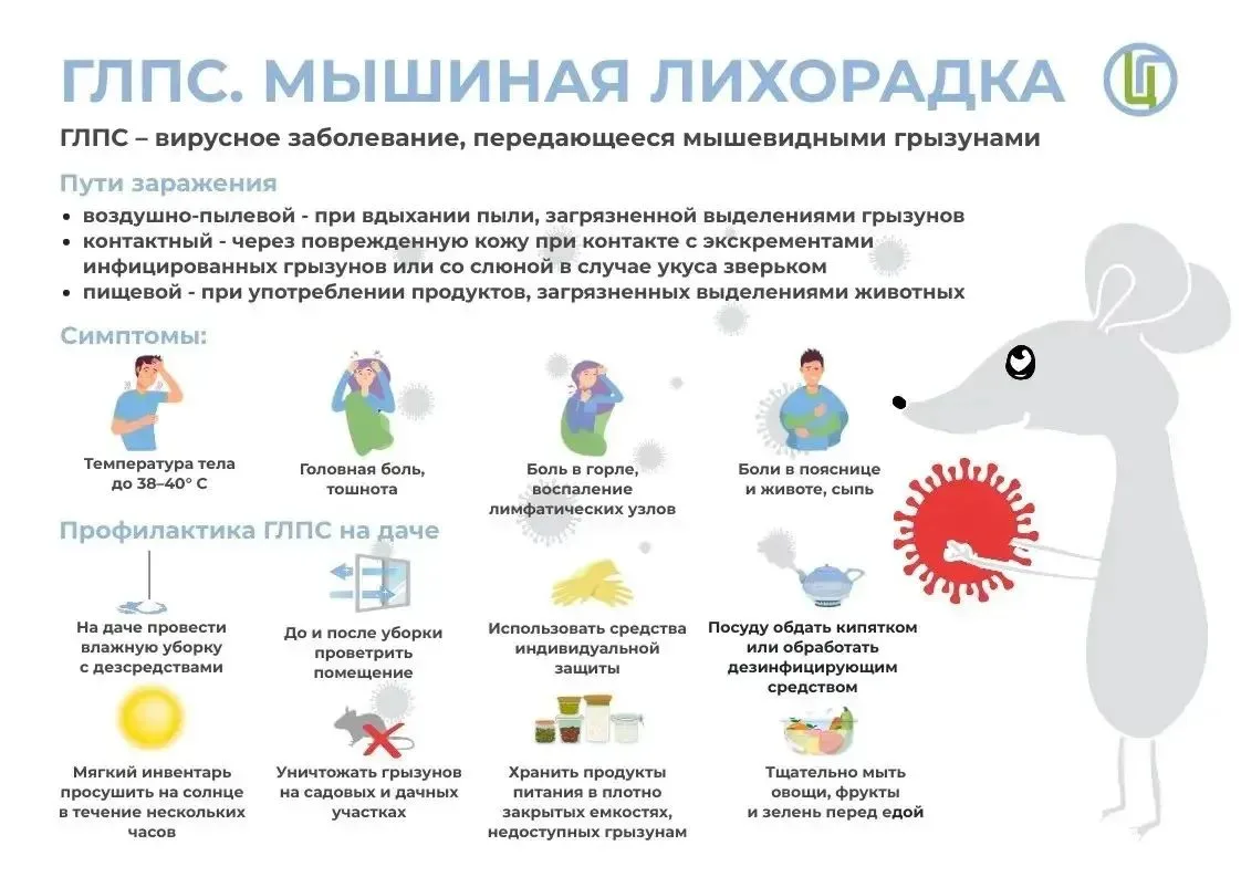 ⚠️ Саратовцам напомнили о мерах профилактики геморрагической лихорадки

🌿 Дачный сезон в самом разг