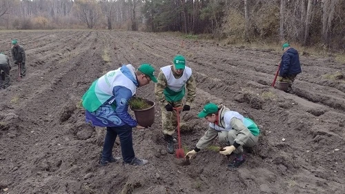 💯 ТЫ - ЭКОЛОГ И ТЫ В ТРЕНДЕ!