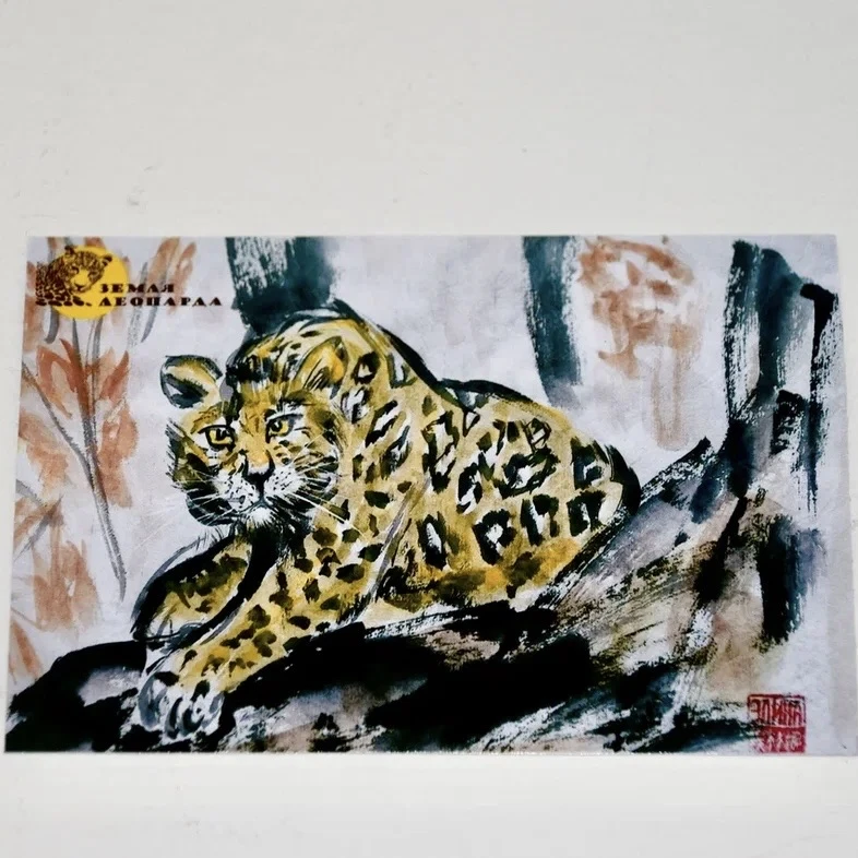 🐆🐅 Уникальные открытки и магниты с природой Приморья — уже в нашей онлайн сувенирной лавке!  Леопард