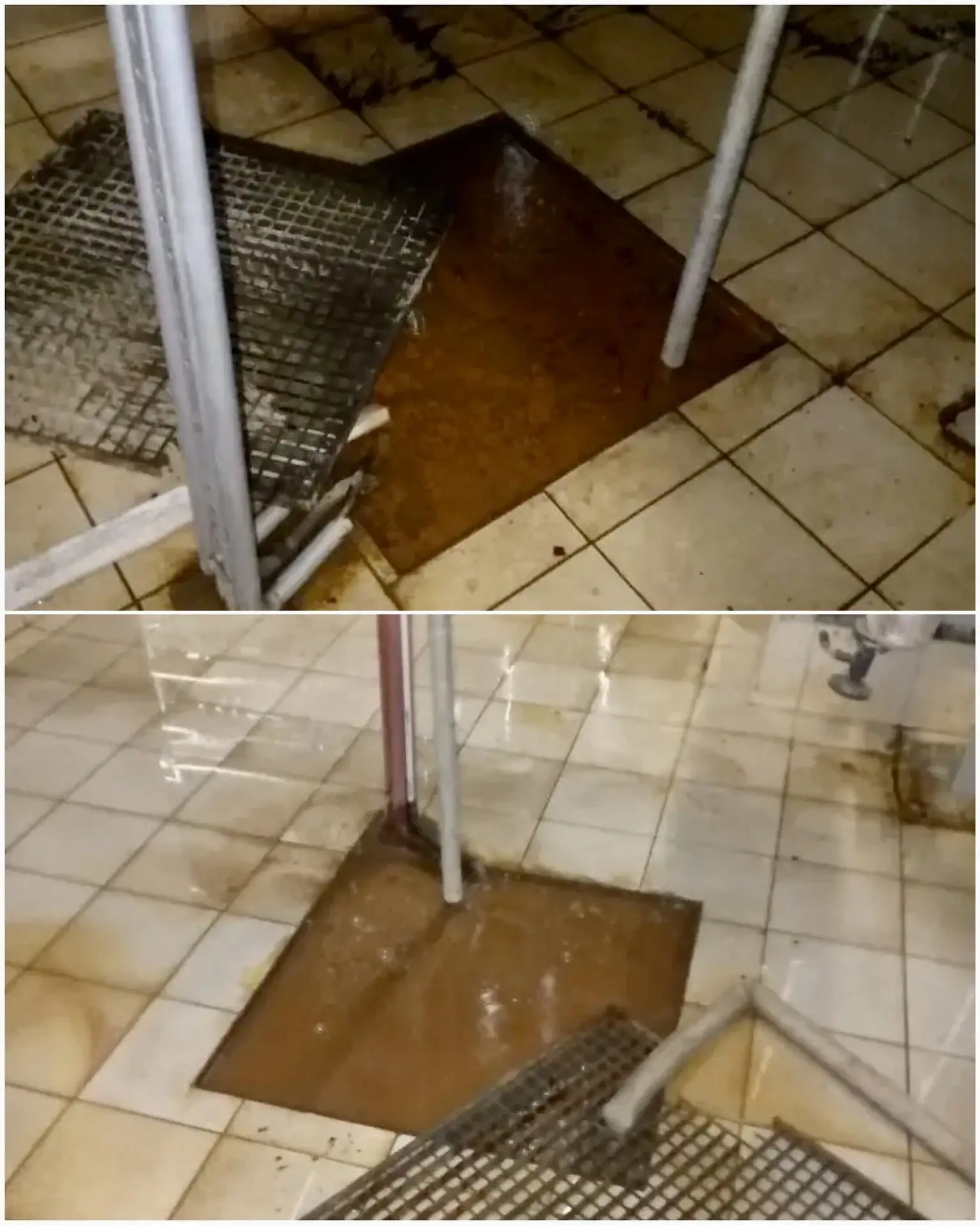 ✅Отчет о проделанной работе
