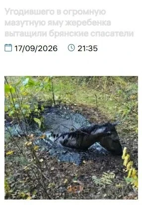 Коллеги, вам не кажется, что вас развели на какой-то нейрослоп? «На станции Снежетьской...
