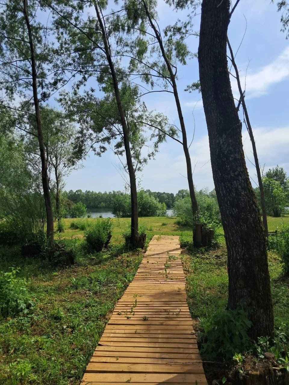 Дневное пребывание на базе  - отдых от городской суеты наедине с природой 🌿🌿🌿🕊️