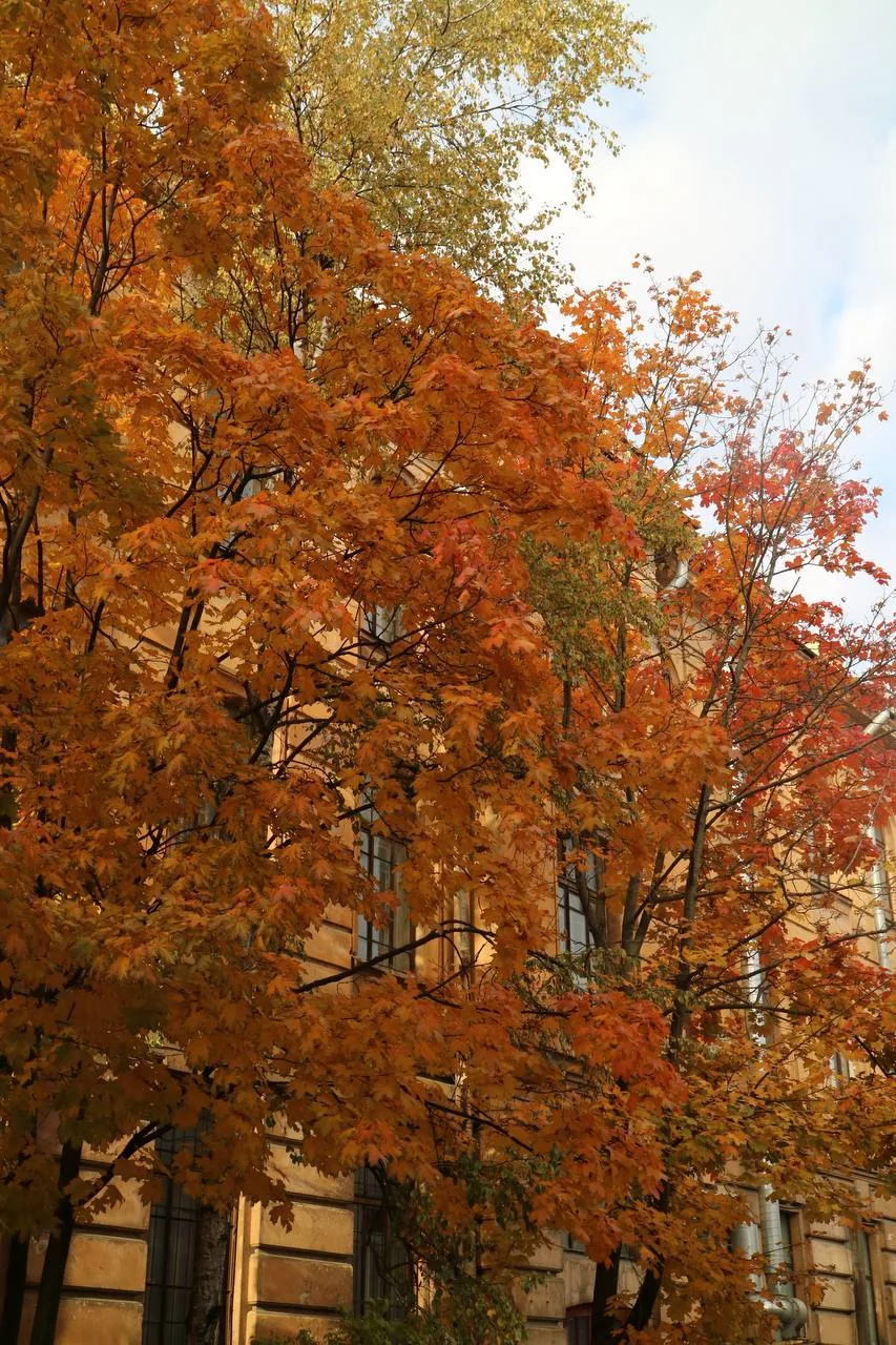 ТИ поймал осеннее настроение 🍁