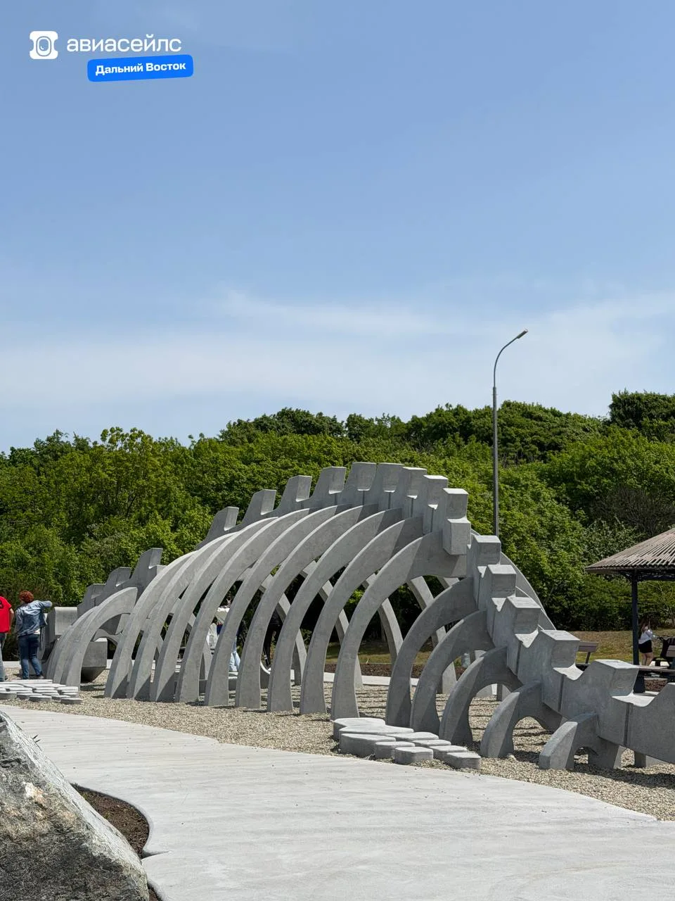 Во Владивостоке найден огромный скелет ихтиозавра 🦖