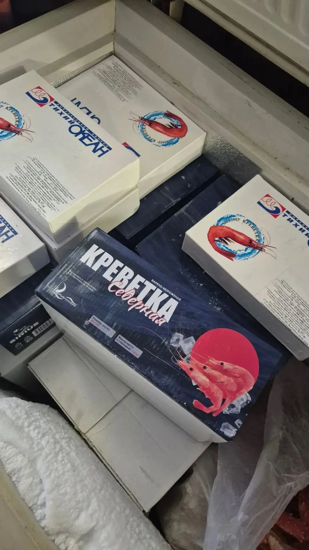 Креветка Северная