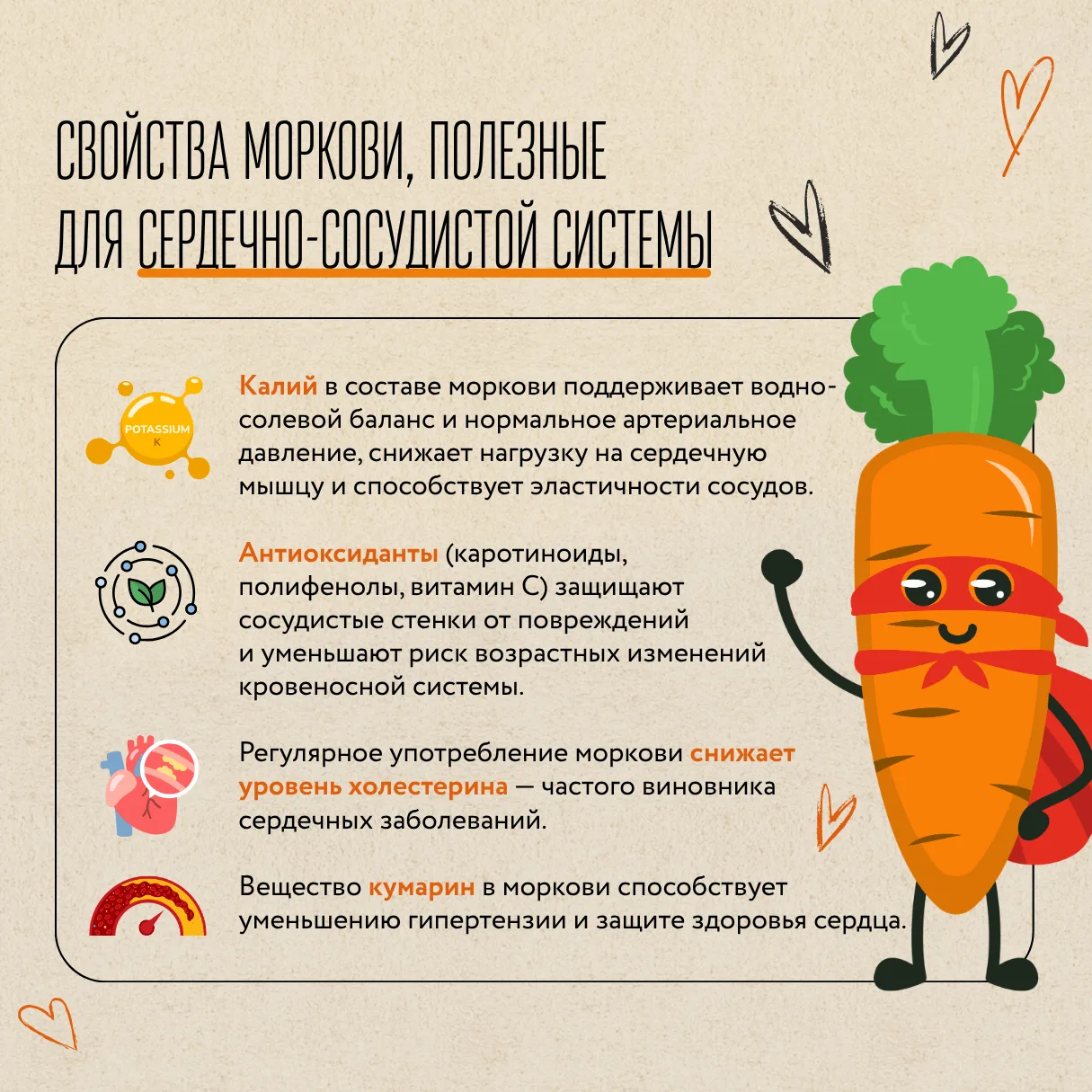 День моркови: праздник оранжевого корнеплода и его польза для доноров  🥕 Морковь — не только вкусный
