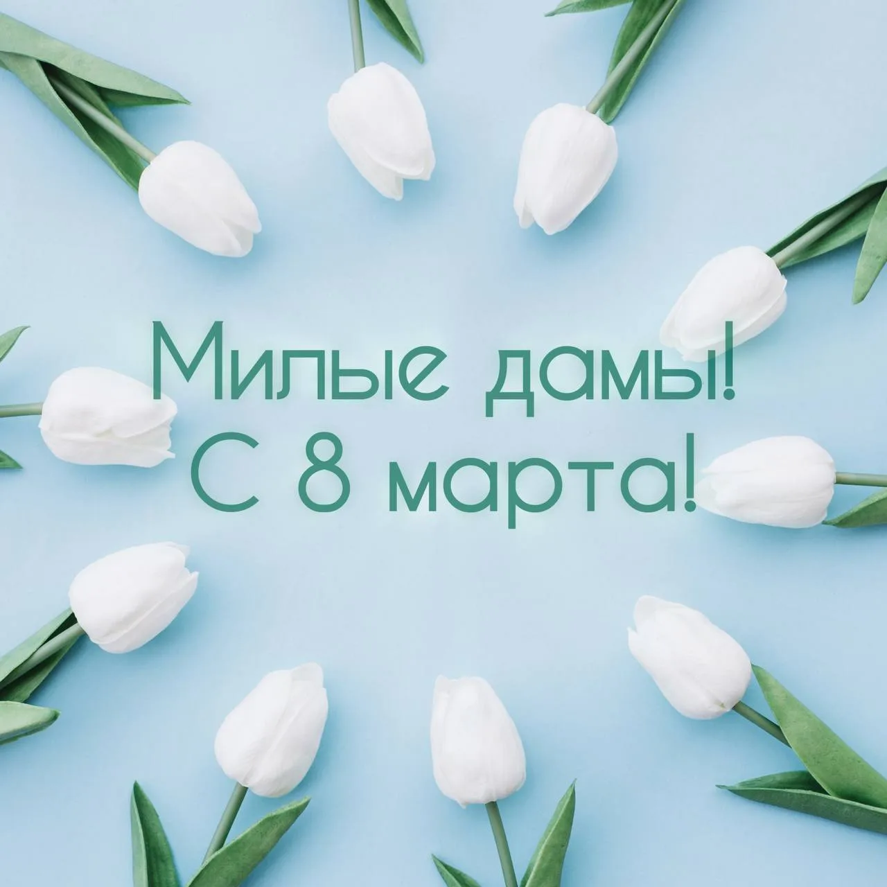 🌸 Дорогие, милые наши девушки!