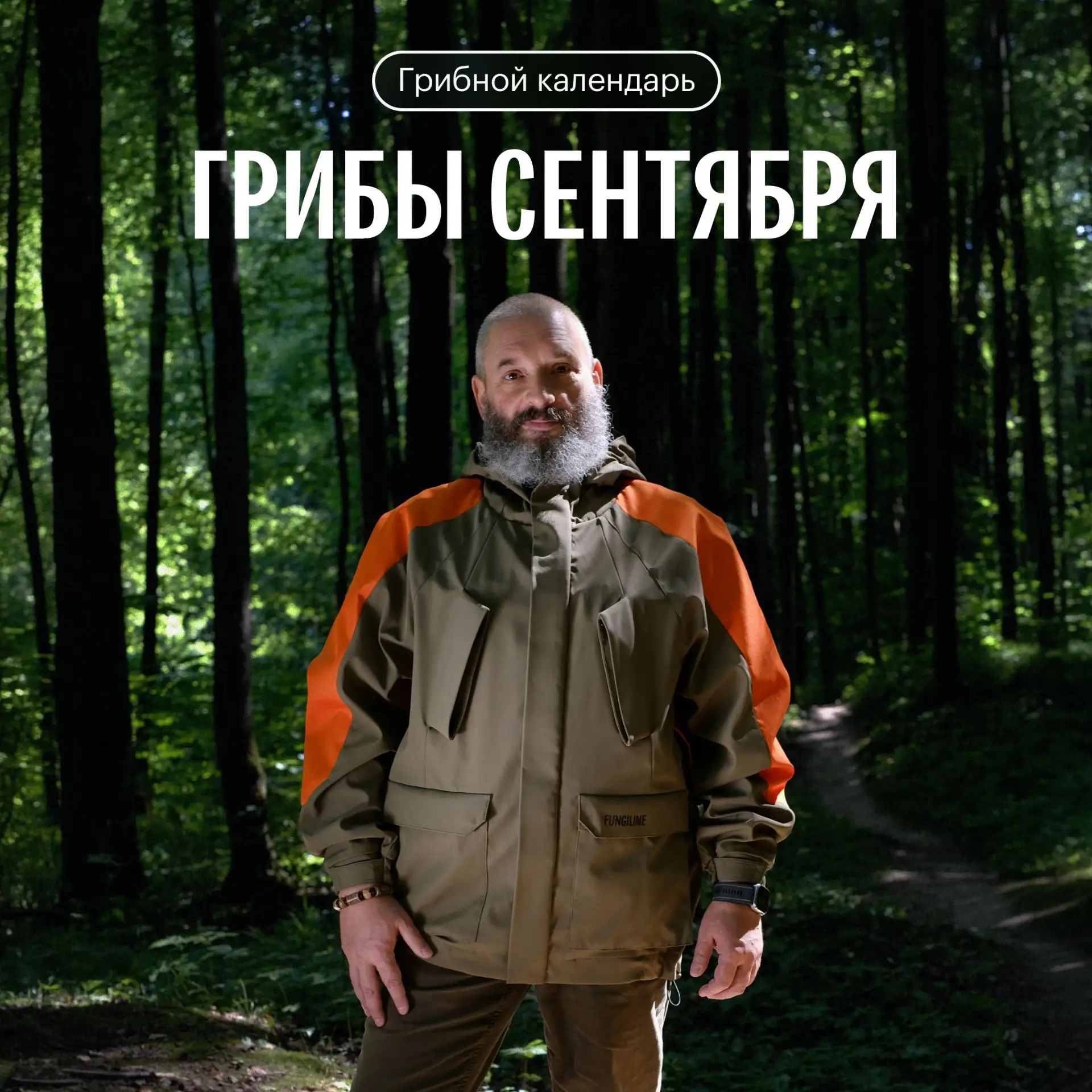 Грибной календарь: грибы сентября