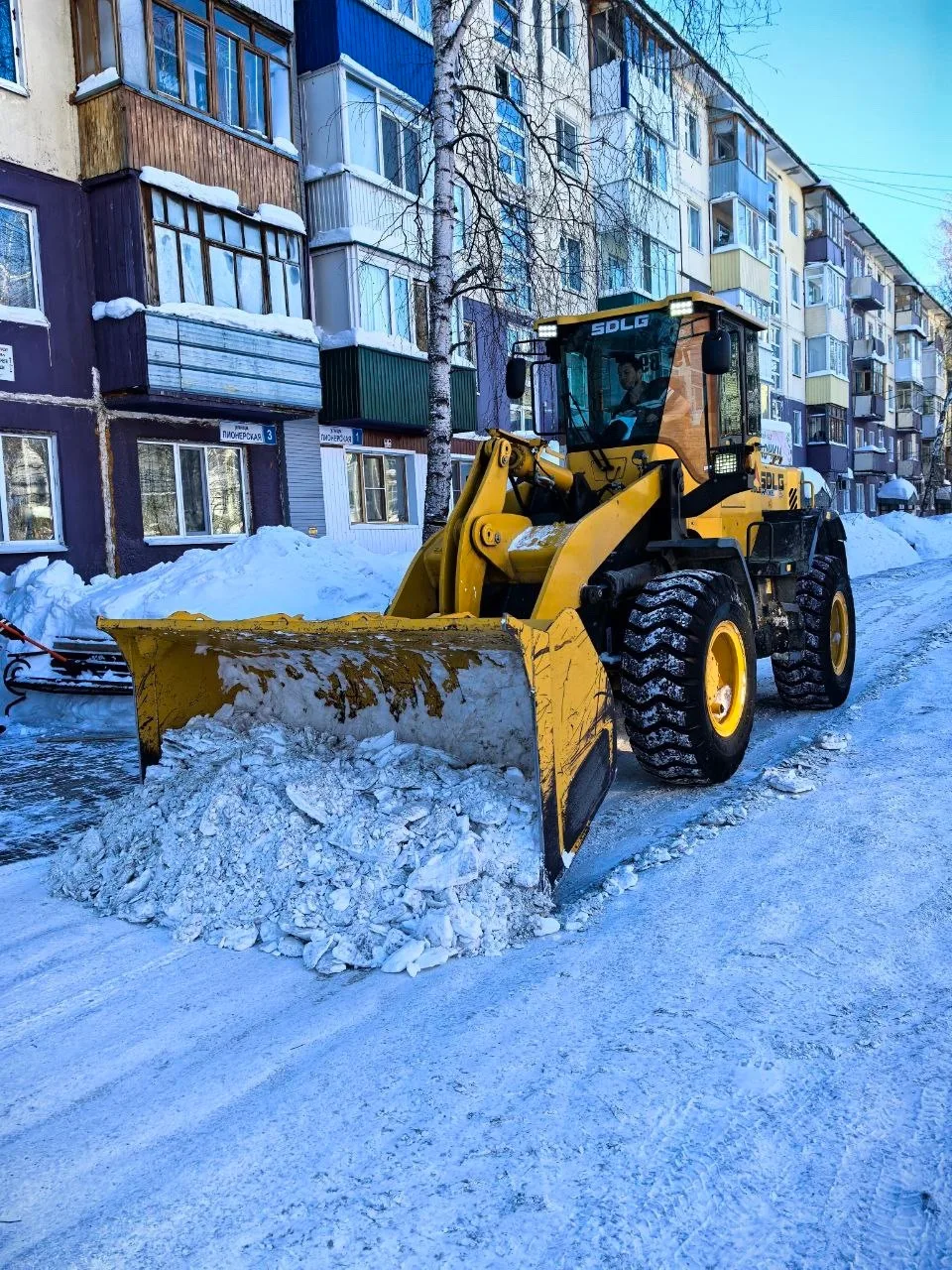 Зимняя сводка ❄️