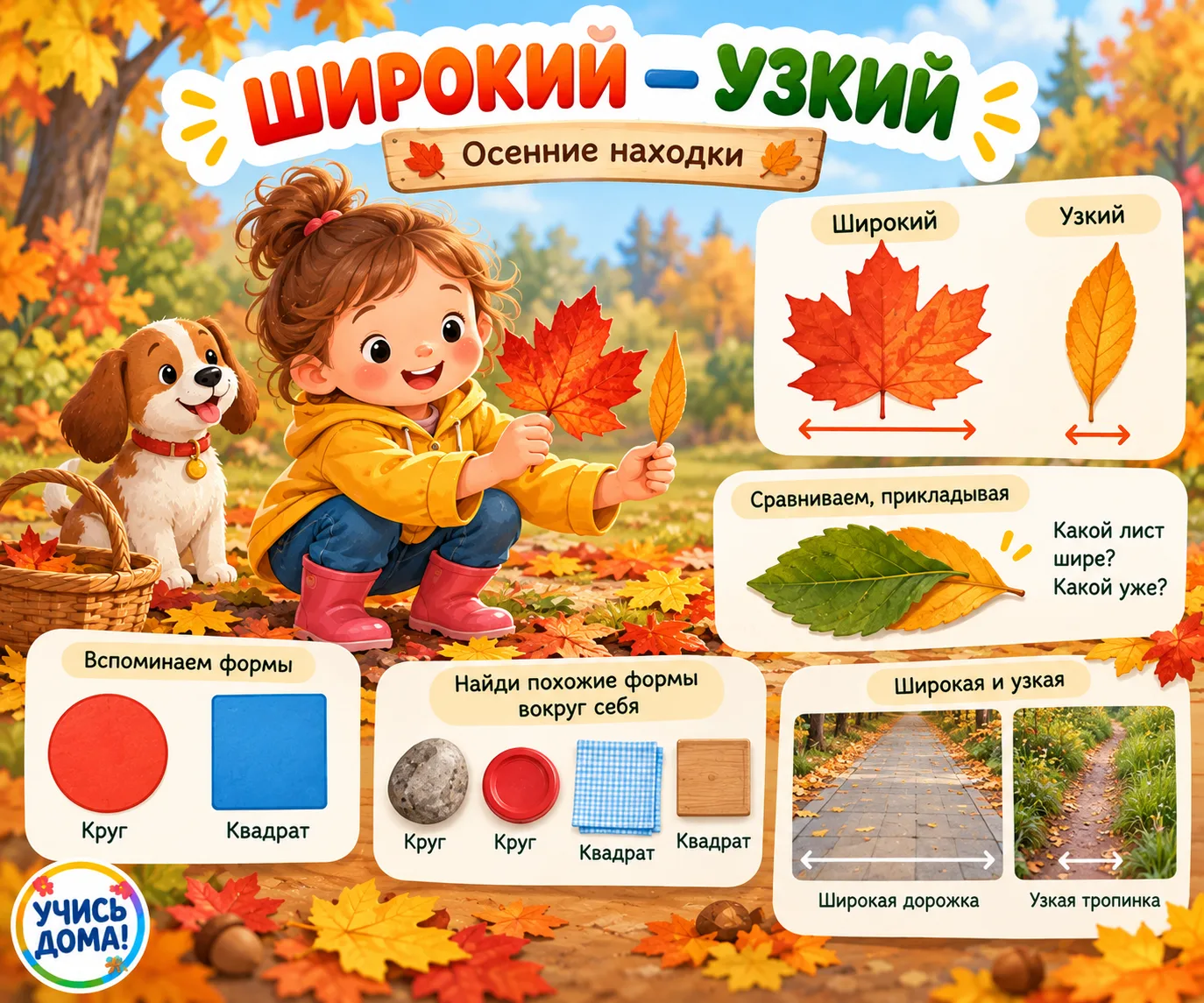 🍂 Широкий — узкий
