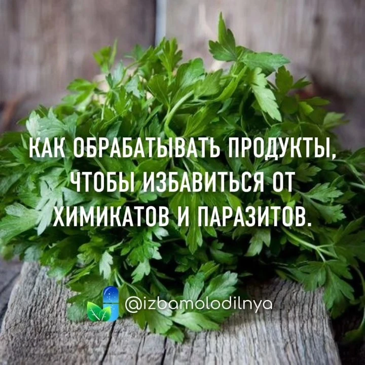 Вымытый водой огурец 🥒  не считается безопасным 🙅.

Есть миф, что если не есть рыбу, можно себя об