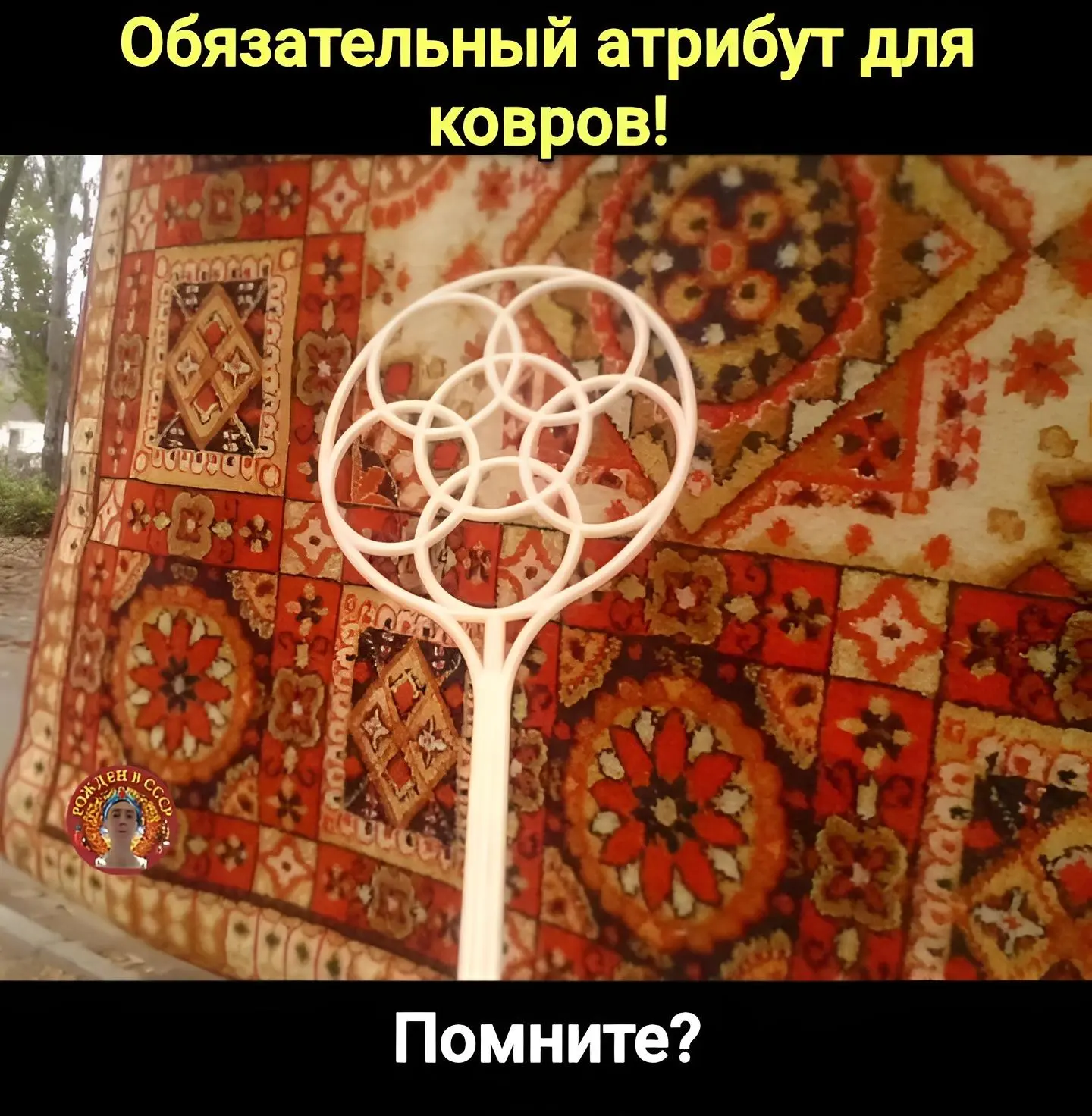 Выбивание ковров в СССР: ритуал, спорт и искусство