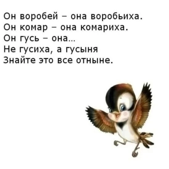 Загадки на развитие речи и внимания.