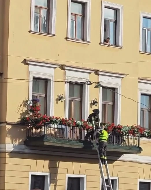 Четырехлетний мальчик выпал из окна в центре Петербурга