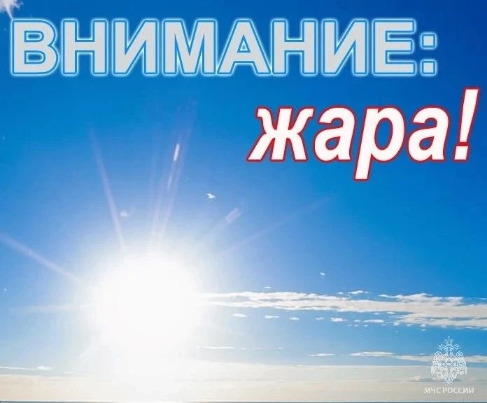 Аномально жаркая погода с максимальными температурами воздуха +30°С и выше в Алтайском ...