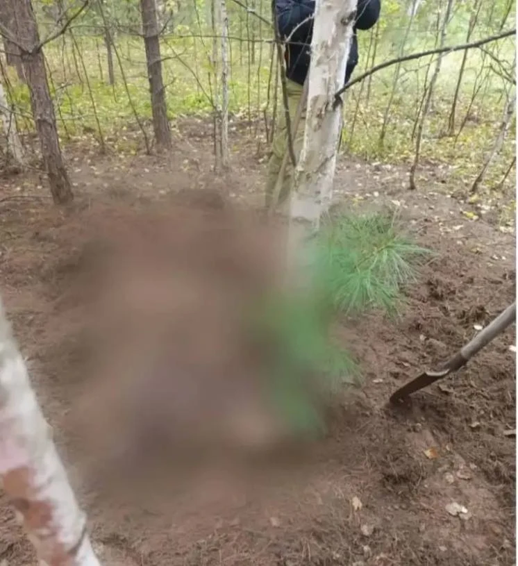🐻 Медведь растерзал двух женщин, ушедших за грибами в Красноярском крае.