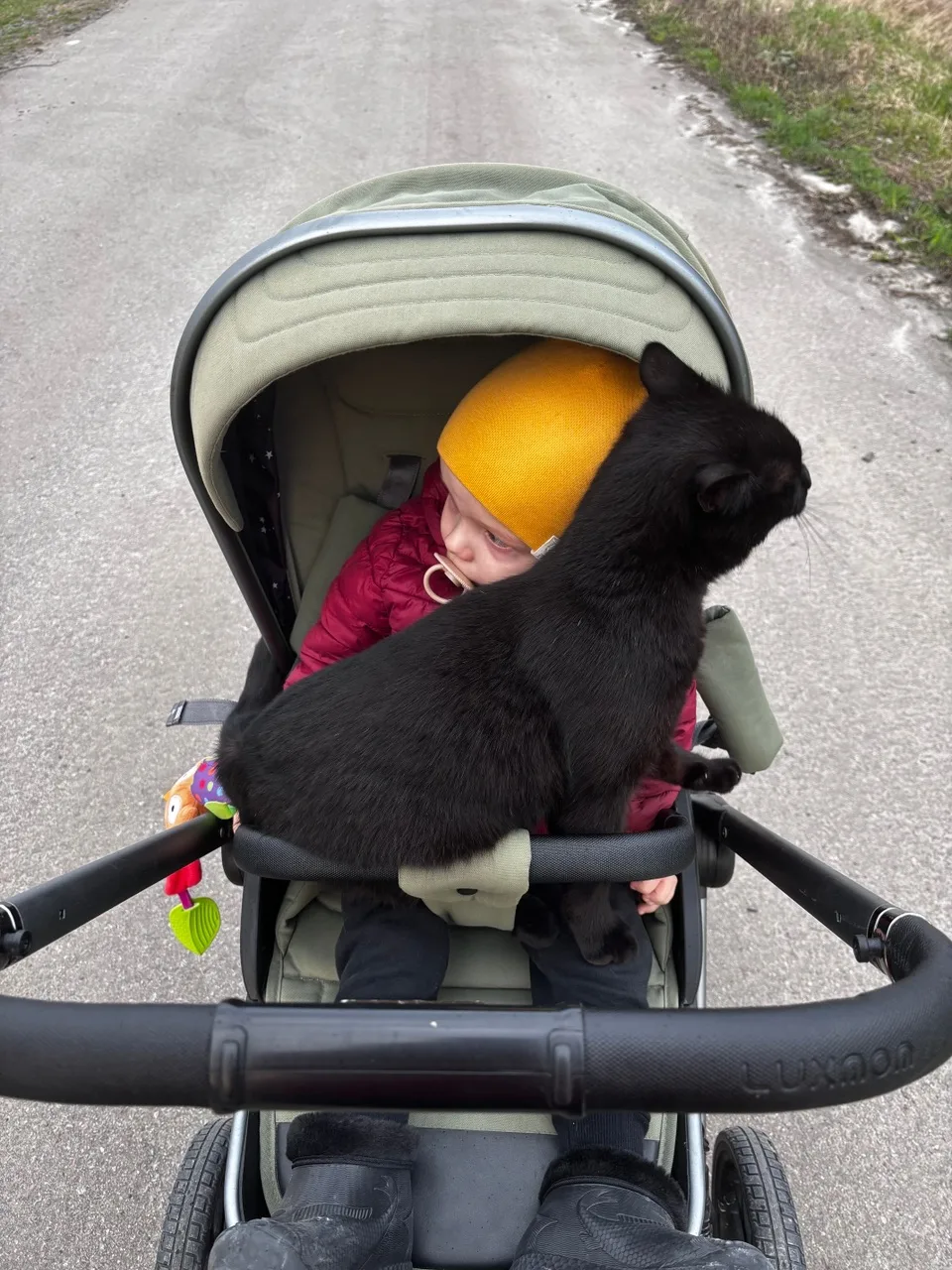 Это ❤️ любовь🐈‍⬛👦