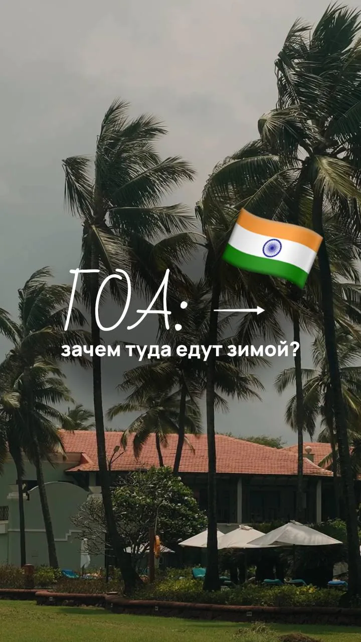 Гоа: зачем туда едут зимой? 🇮🇳