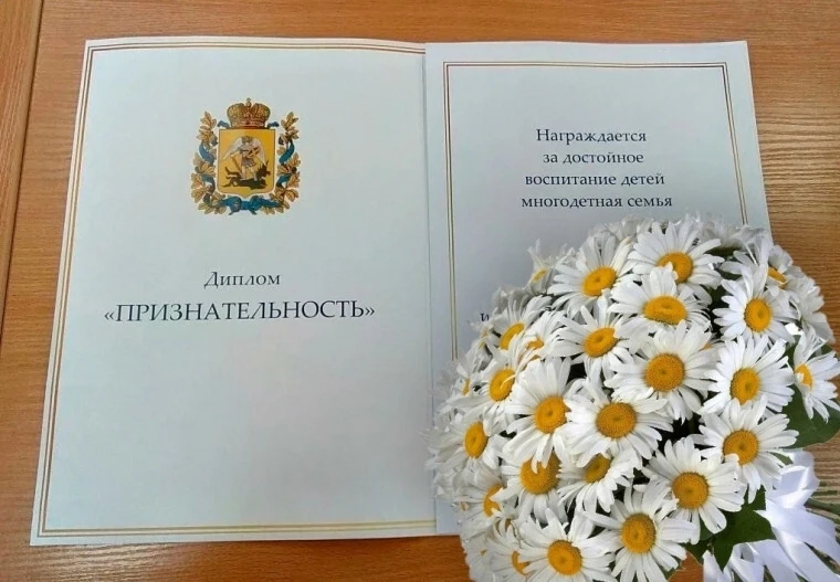 🌼 Многодетным семьям Северодвинска предлагают стать претендентами на областную награду