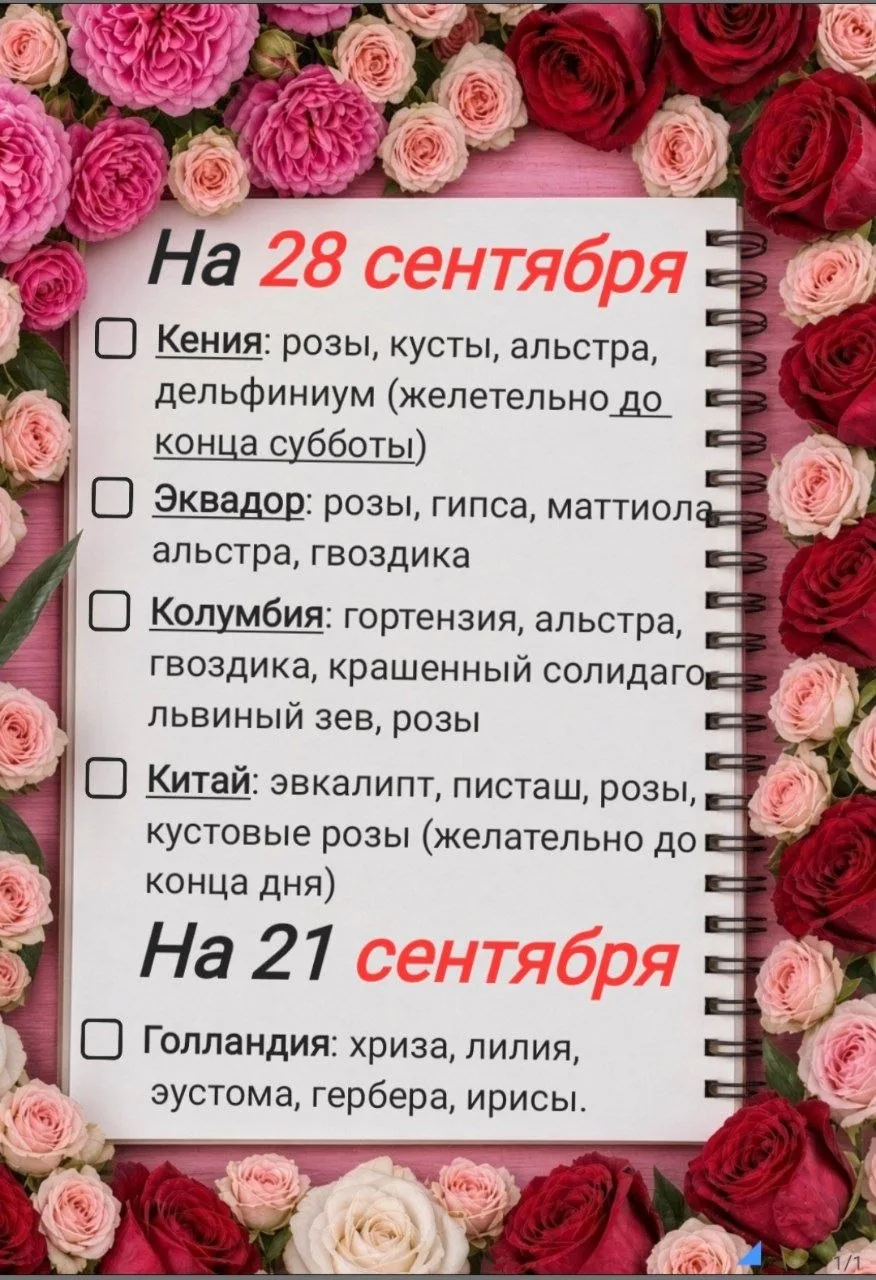 Сегодня принимаем предзаказы:
