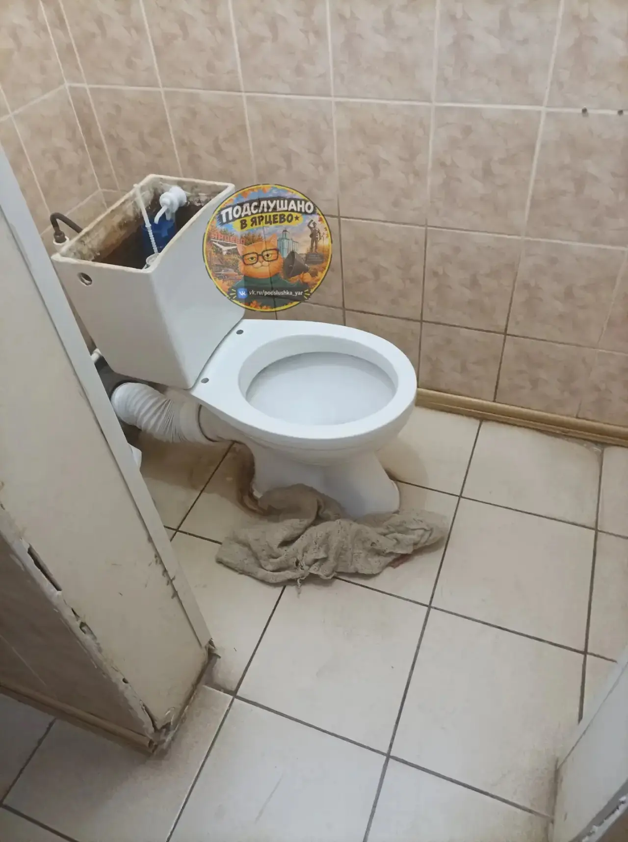 🚽 «Шикарные» туалеты поликлиники в Ярцево, которые, по словам подписчицы, должны были ...