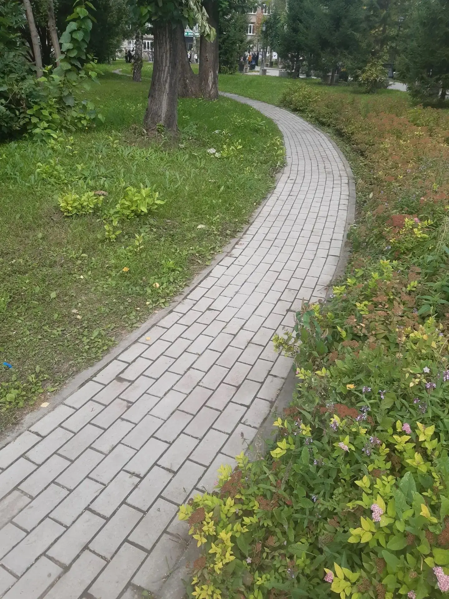 ☀️ Комфорт и чистота в любимом Дзержинском районе! 🌳✨