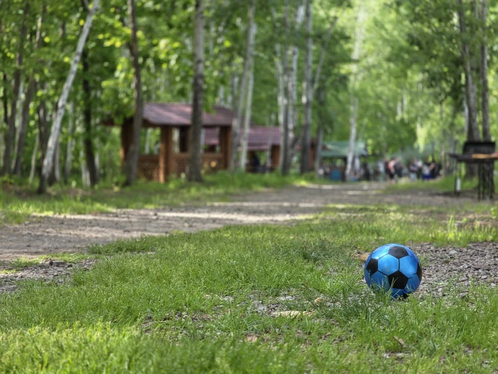 У нас с вами целых 92 дня лета впереди! ☀️