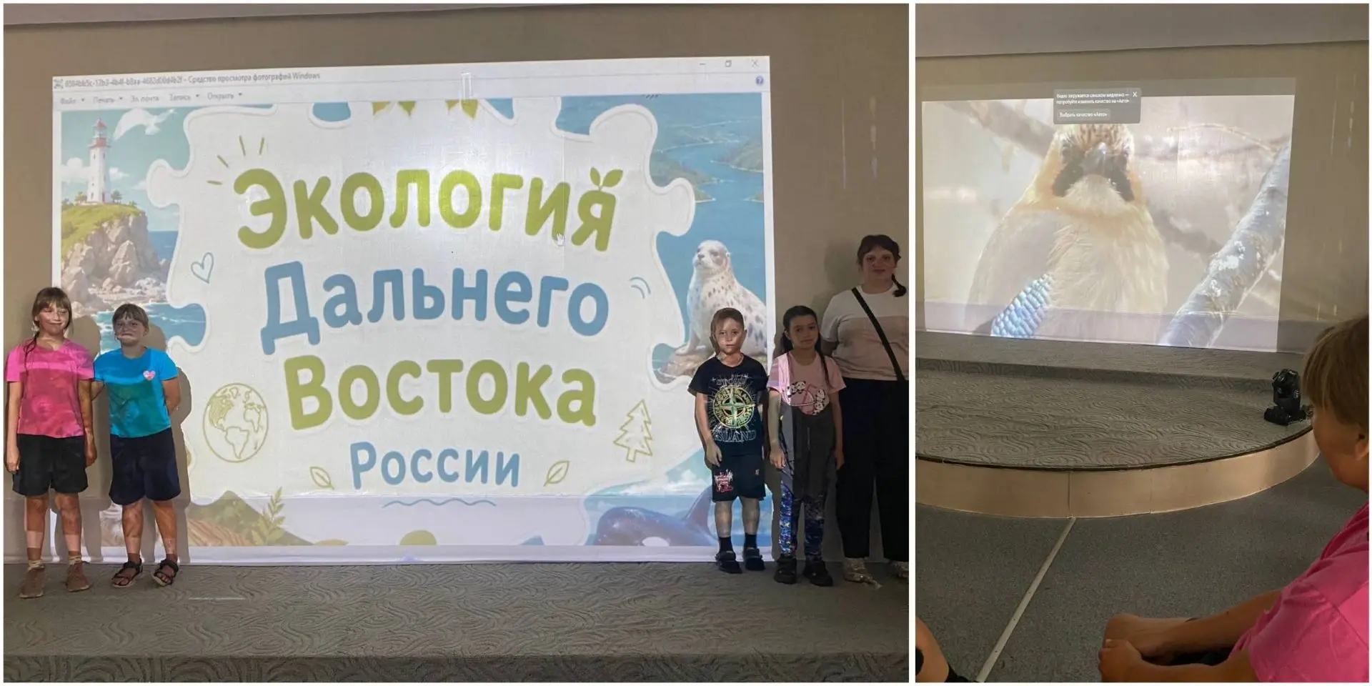 «Экология Дальнего Востока»! 🌲🐅🌊✨