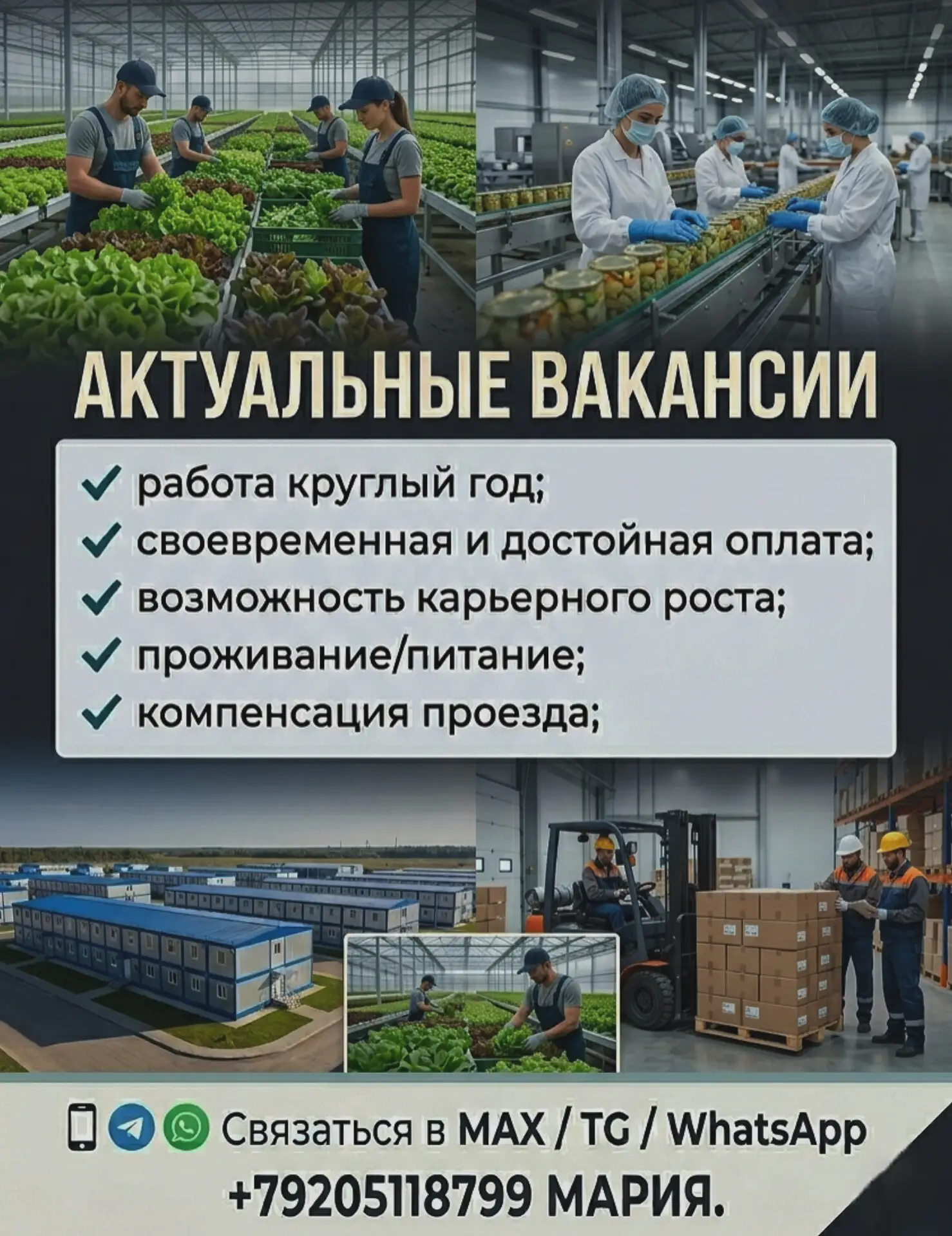 АКТУАЛЬНЫЕ ВАКАНСИИ НА СЕГОДНЯШНИЙ ДЕНЬ 👇

Южная рисовая компания.
Местные
📍Место работы:
Ст. Холм