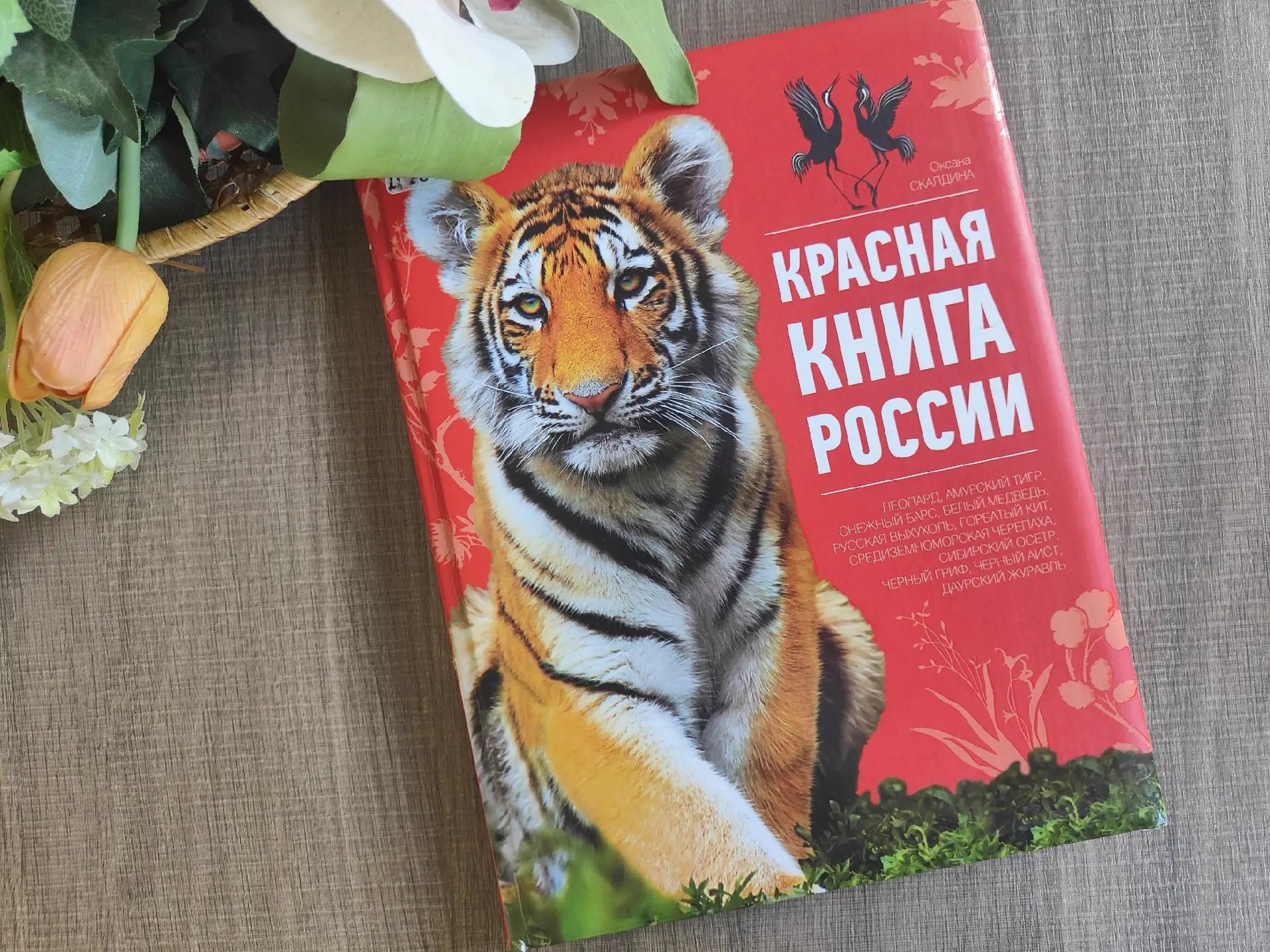 Продолжается прием заявок на международный конкурс-выставку детского творчества «Красная книга глаза
