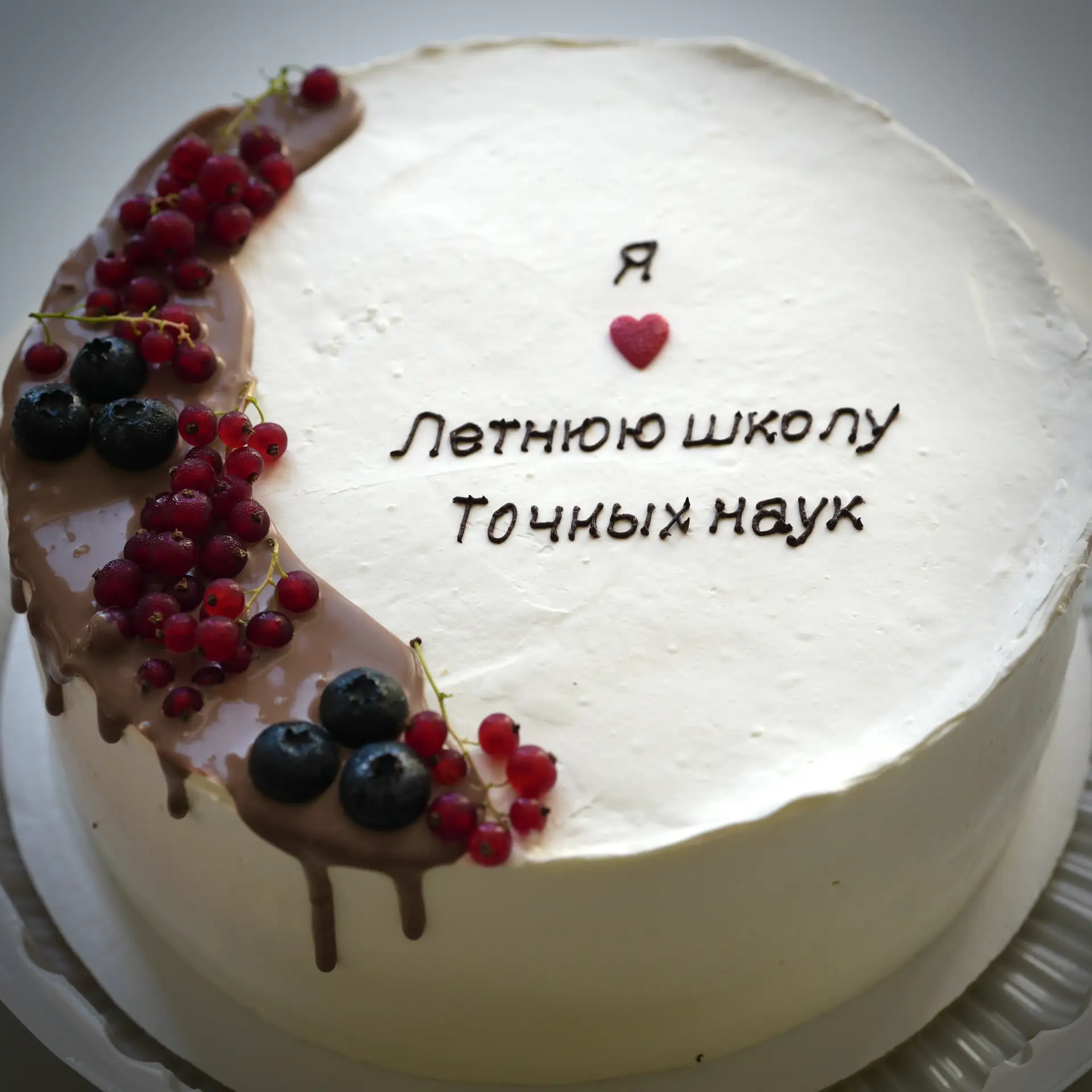 Искренняя благодарность всегда наполняет нашу работу смыслом. Сегодня команда «Вершины» получила пре