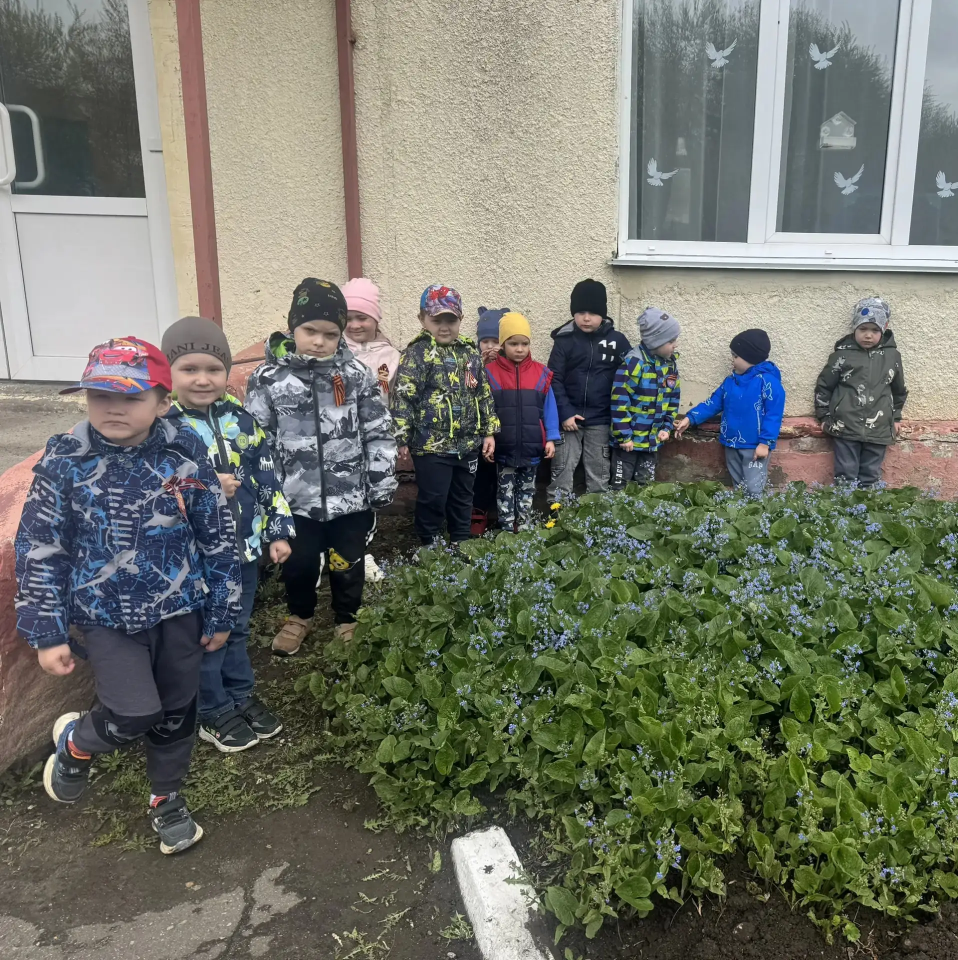 Сегодня на прогулке ребята средней группы наблюдали как на деревьях и кустарниках появл...