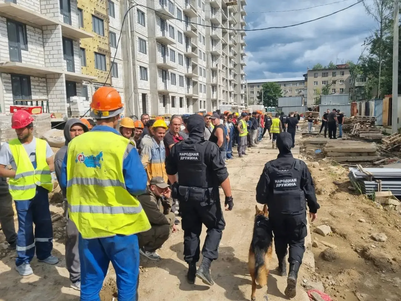 😱 Нарушения миграционного законодательства были выявлены в ходе рейдов в Подмосковье
