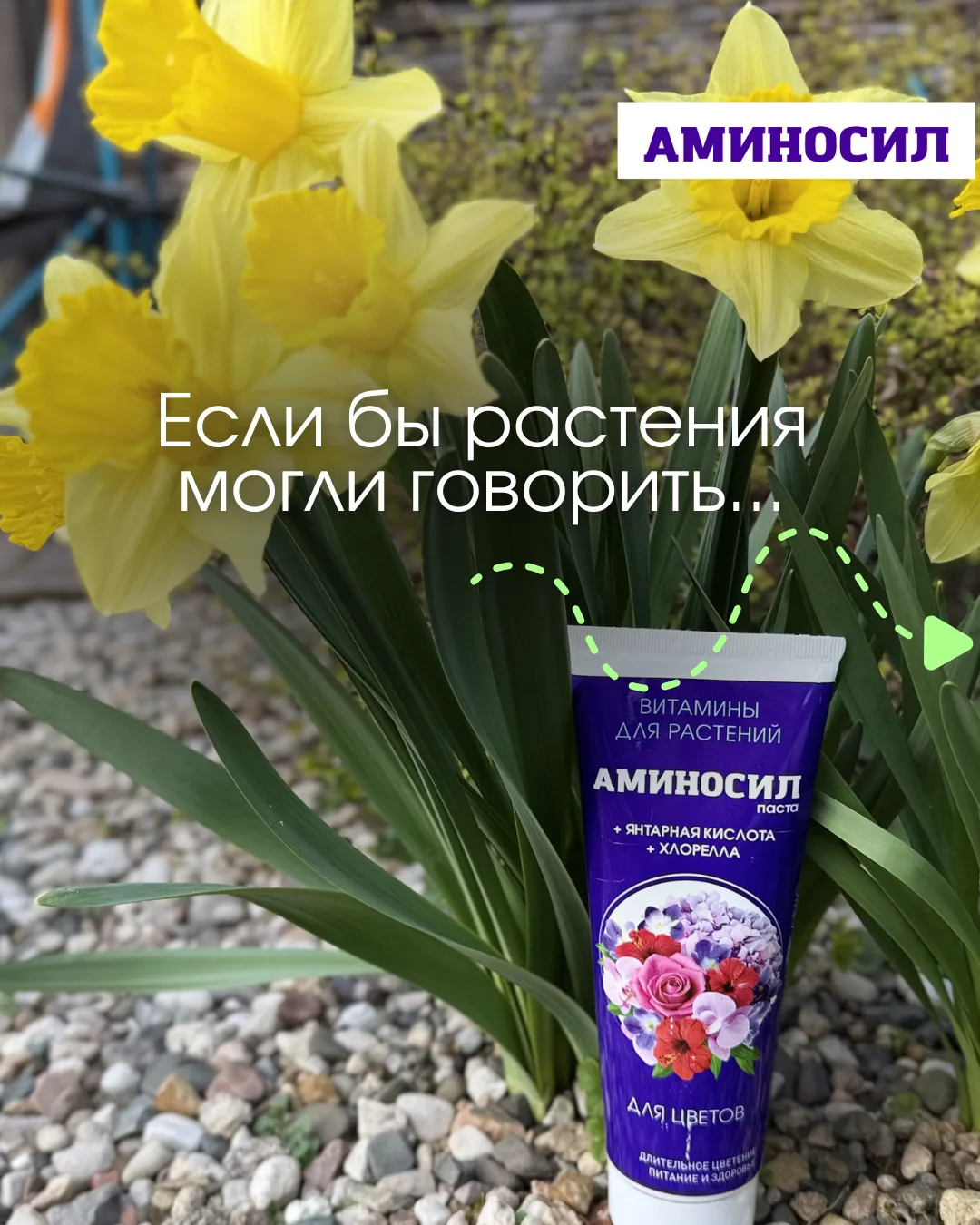 Поздравляем с Днём дачника!
Команда ТМ Аминосил поздравляет всех, кто вкладывает в свой сад и огород