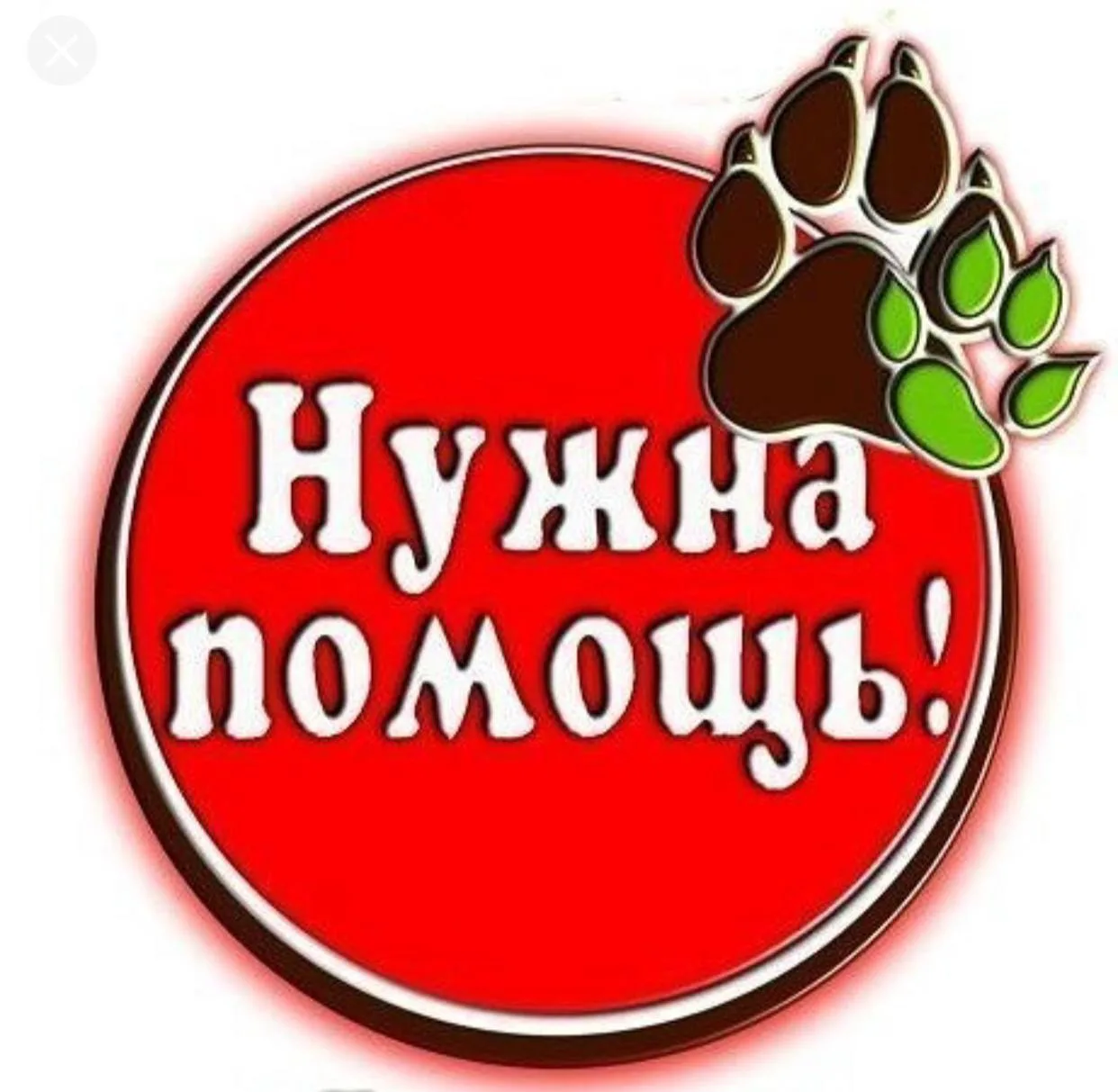 Помочь нашим хвостикам ‼️‼️‼️