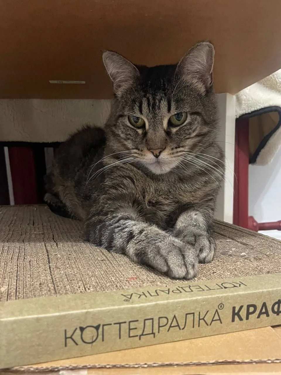 — А что, если я опаздываю на работу?