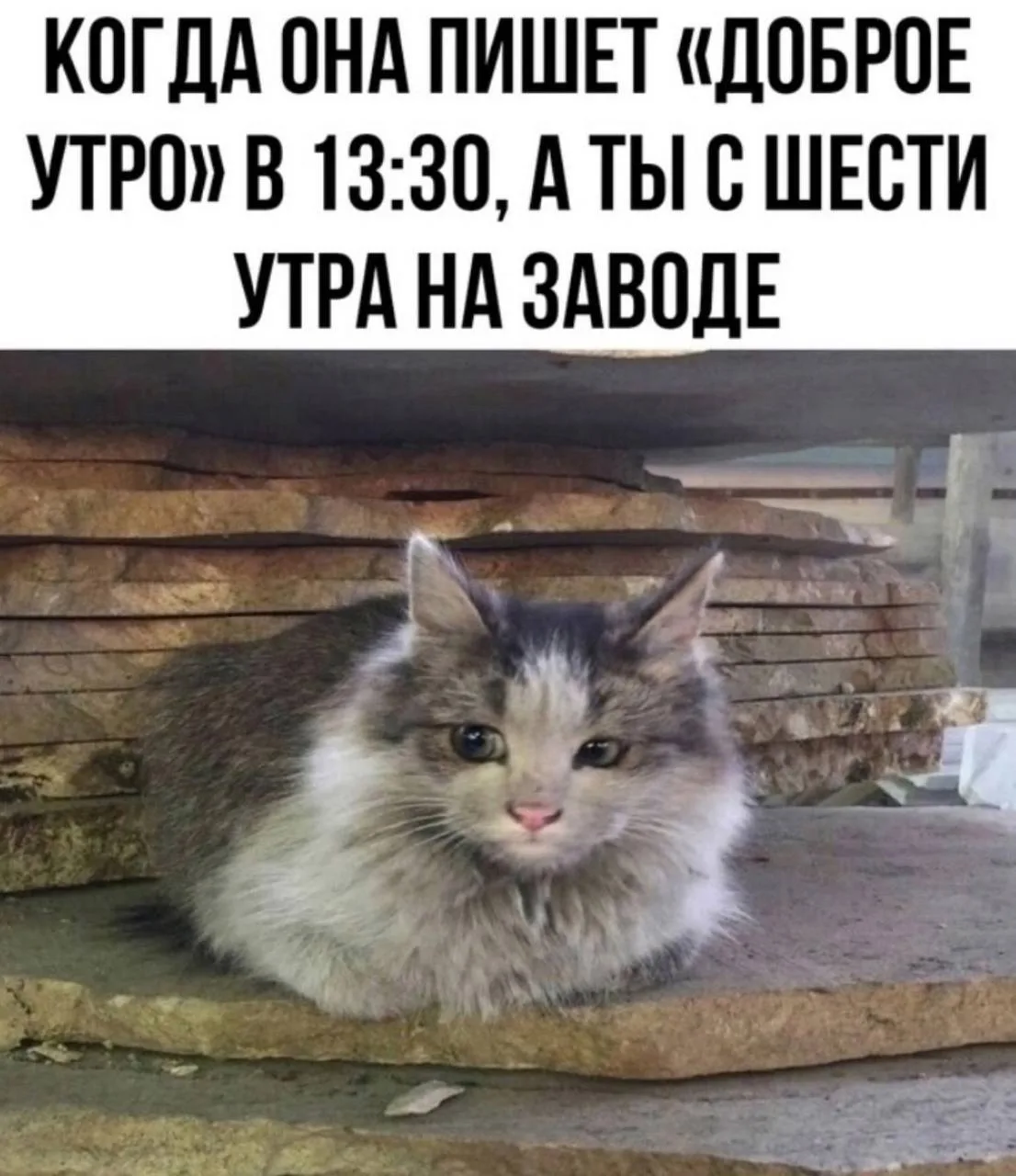 Доброе утро 🌤️