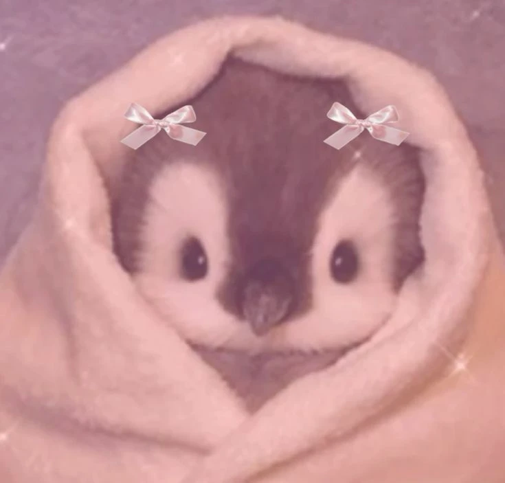 🐧 Милые пингвинчики 🎀