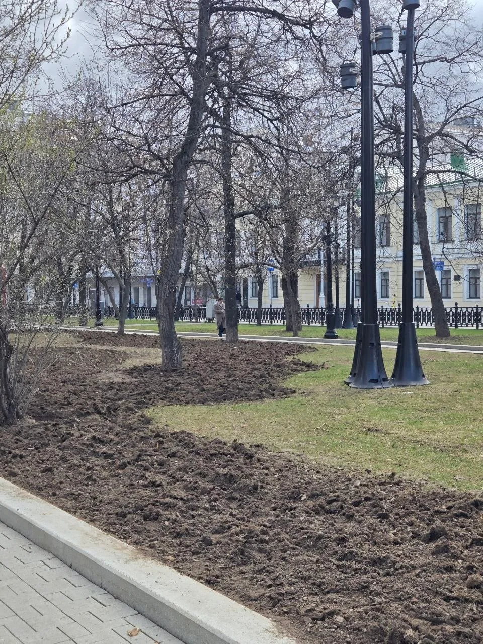 🌱 На Тверском бульваре восстанавливают газоны