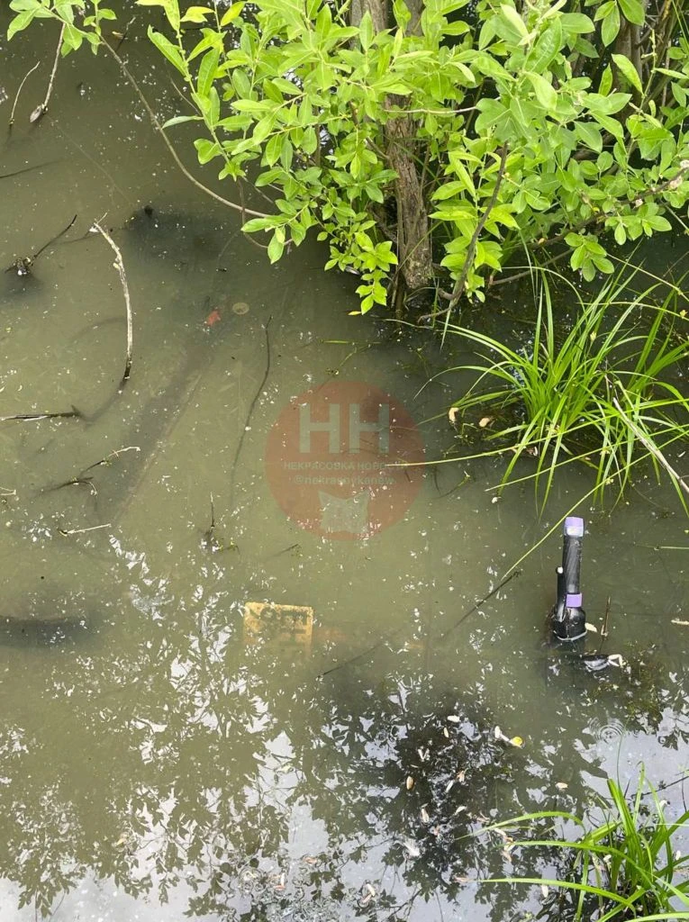 В Некрасовке в парке Дружба нашли электросамокат прям в воде, самокат уже утонул