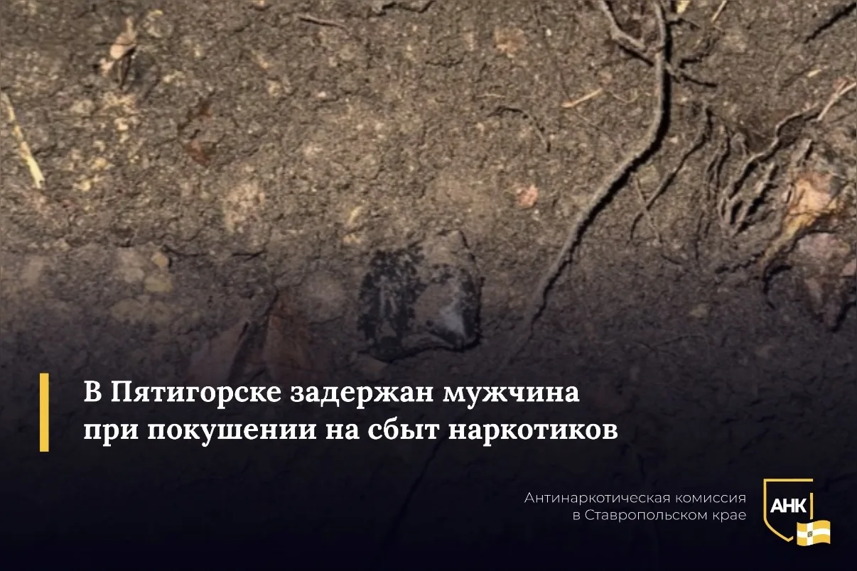 В столице СКФО предприимчивый 24-летний гражданин решил совместить жизнь на курорте с нелегальным «б