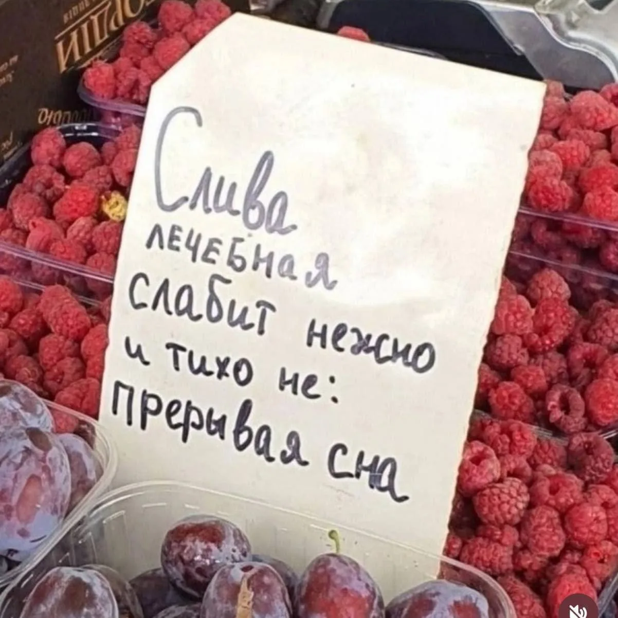 Продажник от бога